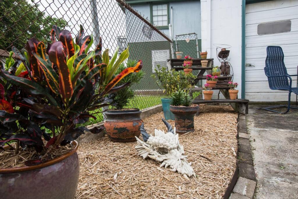Big Easy Charmer License #23-Ostr-12410 New Orleans Exterior foto